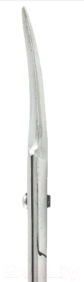 Изображение товара Ножницы для маникюра Silver Star НСС-5 S