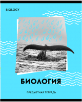 

Тетрадь предметная BG, Neon. Биология / ТП5ск40 11598