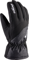 Перчатки лыжные VikinG Monterosa GTX / 150/23/1614-0009 (р.8, черный) - 