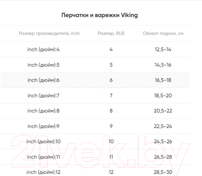 Перчатки лыжные VikinG Folgarida / 140/24/7734-0900 (р.6, черный)