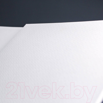 Изображение товара Планшет для акварели Малевичъ White Swan / 402110