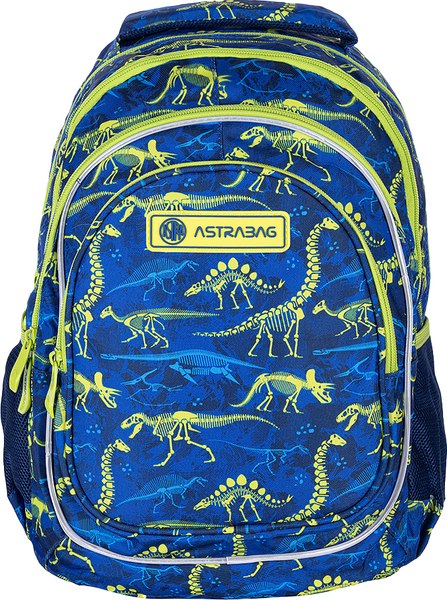 Школьный рюкзак Astra Dinos / 502022097