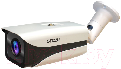IP-камера Ginzzu HIB-4V02A