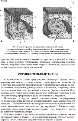 Учебное пособие Эксмо Биология для абитуриентов. Том 2 (Билич Г., Пасечник В.)