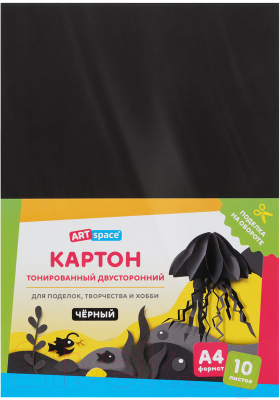 Набор цветного картона ArtSpace КТ1А4_38004 (10л, черный)