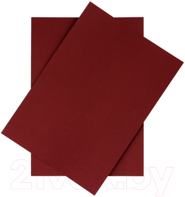 Набор цветного картона ArtSpace КТ1А4_37996 (10л, красный)