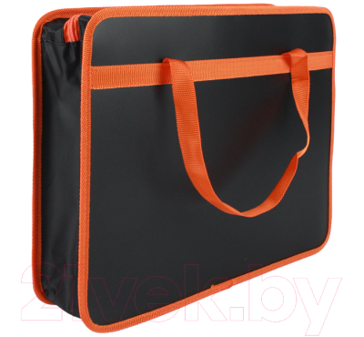 Изображение товара Папка-портфель Пчелка Крутой мяч / ПМ-А4-25