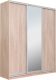 Миниатюра изображения товара Шкаф-купе Рэйгрупп 233 TTX Elgon РГ-07.02 (дуб торонто/хром)