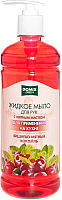 

Мыло жидкое Domix Green, Вишнево-мятный коктейль с мятным маслом
