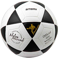 

Футбольный мяч Atemi, Goal