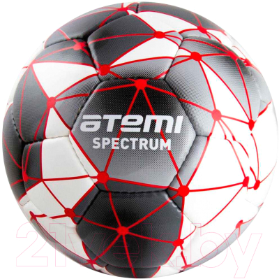 Футбольный мяч Atemi Spectrum (размер 5, белый/серый)