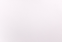 Набор бумаги для рисования Малевичъ White Swan / 402400 (10л) - 