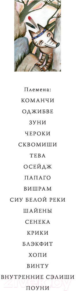 Художественная книга АСТ Сказки и мифы Северной Америки (Ващенко А.) — фото 3
