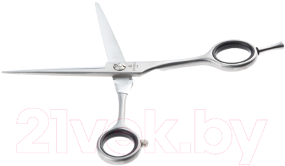 Изображение товара Ножницы парикмахерские Dewal Basic Step ML140-55 прямые