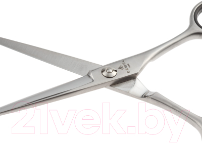 Изображение товара Ножницы парикмахерские Dewal Basic Step ML140-55 прямые