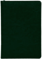 

Ежедневник Lite, Classic / LTDRA5-CLS/GR