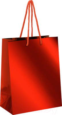 ArtSpace Hm_39824 (красный) Пакет подарочный купить в Минске, Гомеле ...