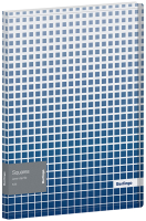 

Папка для бумаг Berlingo, Squares / FSc_A4052