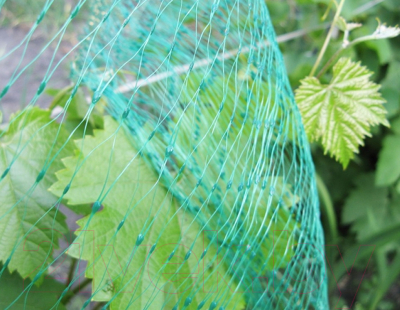 Защитная сетка для растений GreenTerra Для защиты от птиц (2x10м)