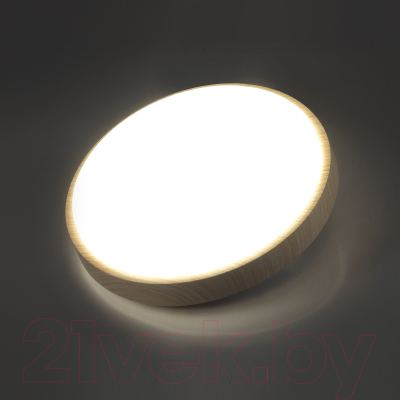 Потолочный светильник Sonex Losta 7607/CL