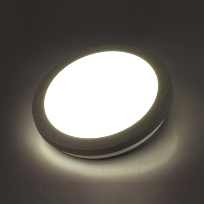 Потолочный светильник Sonex Kafa 7606/CL