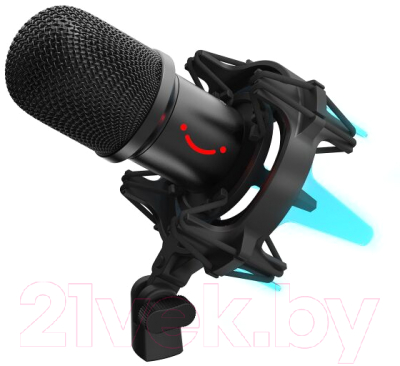 Микрофон Fifine SK651 (черный)