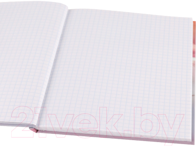 Изображение товара Записная книжка Проф-Пресс Капли росы / 80-6771 (80л)