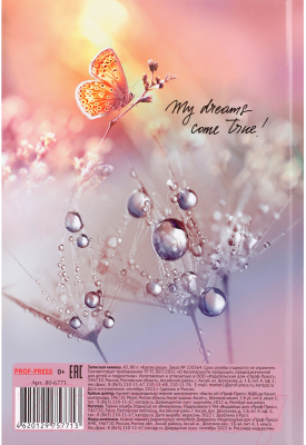 Изображение товара Записная книжка Проф-Пресс Капли росы / 80-6771 (80л)