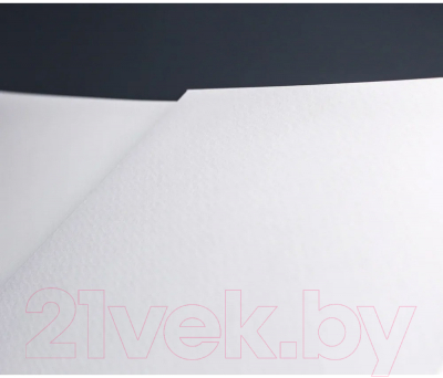 Набор бумаги для рисования Малевичъ White Swan / 401438 (20л)