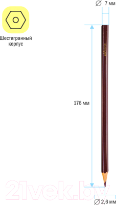 Изображение товара Набор цветных карандашей ArtSpace Подводный мир / 259768 (18цв)