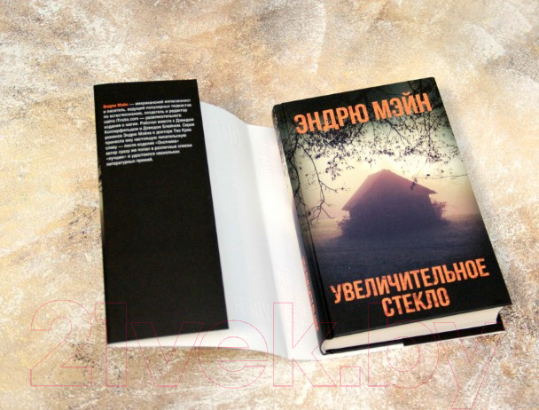 Художественная книга АСТ Увеличительное стекло. Смертельная угроза (Мэйн Э.) — фото 2