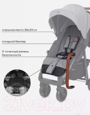 Детская прогулочная коляска Rant Vega 2023 / RA057 (серый)