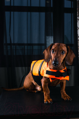 Спасательный жилет для животных ИП Панова Поддерживающий для собак (S)