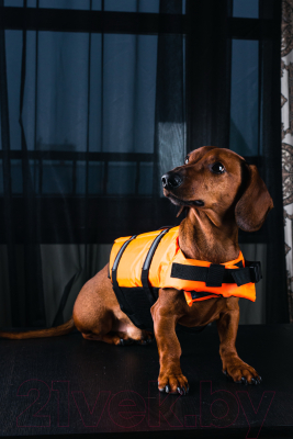 Спасательный жилет для животных ИП Панова Поддерживающий для собак (XL)