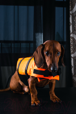 Спасательный жилет для животных ИП Панова Поддерживающий для собак (XL)