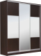 Миниатюра изображения товара Шкаф-купе Рэйгрупп 176 VVX Elgon РГ-09.06 (венге/хром)