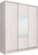 Миниатюра изображения товара Шкаф-купе Рэйгрупп 233 YYX Elgon РГ-07.05 (ясень снежный/хром)