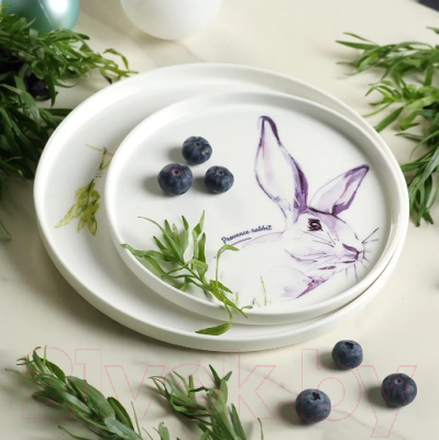 Тарелка столовая обеденная Fissman Provence Rabbit 13951