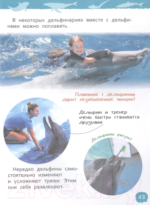 Энциклопедия Росмэн Акулы, киты и дельфины