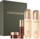 Миниатюра изображения товара Набор косметики для лица Missha ChoGongJin Geumsul Skin Care Set MS201334