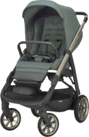 

Детская прогулочная коляска Inglesina, Aptica / AG70P0NPG