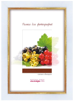 

Рамка, 22/602 10x15