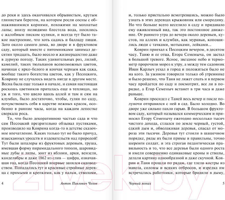 Художественная книга АСТ Черный монах (Чехов А.) — фото 4