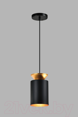 Потолочный светильник Moderli Latina / V10452-1P