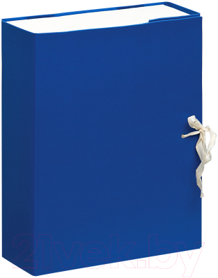 Коробка архивная OfficeSpace 284719 (синий)
