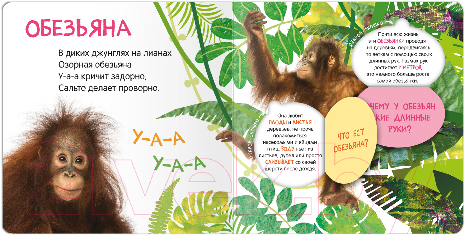 Развивающая книга Мозаика-Синтез Книжки с окошками. Кто где живет? / МС12684 — фото 2