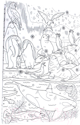 Изображение товара Раскраска Проф-Пресс Виммельбух Животный мир