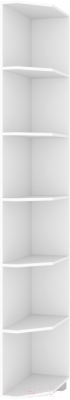 Угловое окончание для шкафа Modern Роланд Р84 (белый)