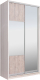 Миниатюра изображения товара Шкаф-купе Рэйгрупп 158 YSX Elgon РГ-10.06 (ясень снежный/сосна натуральная/хром)