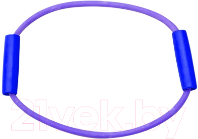 Эспандер Absolute Champion Кольцо АЧ15954 (фиолетовый)